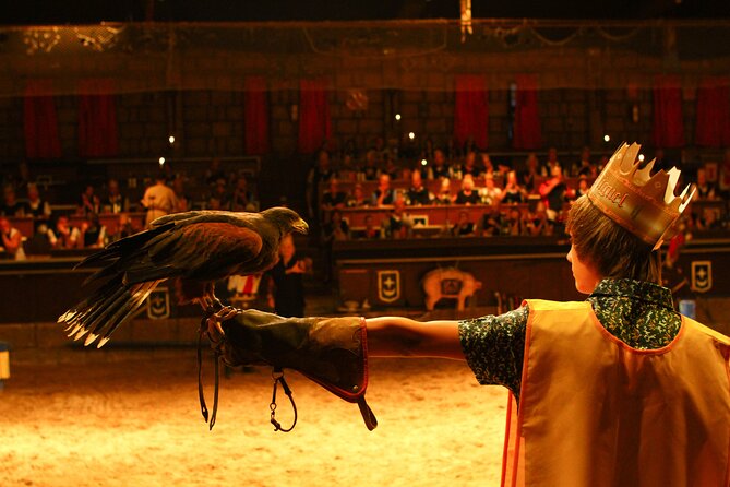 Medieval San Miguel castle with dinner-Show in South Tenerife - The heart of it: the live show with jousting energy, horses, and fire