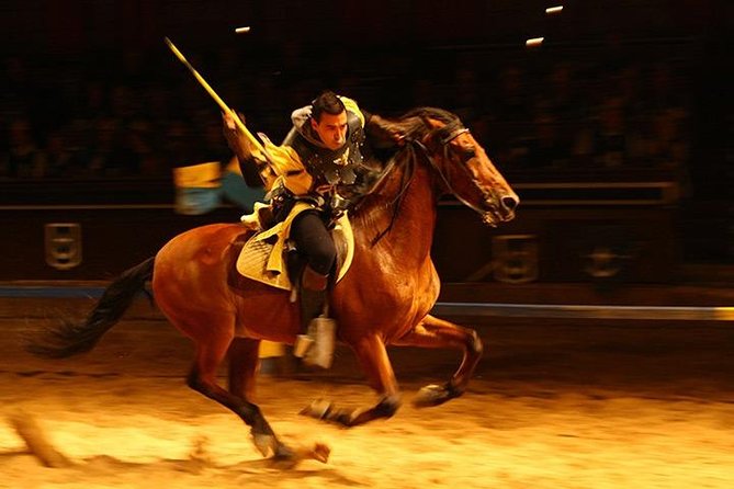 Medieval Show and Dinner at Castillo San Miguel with Transfer - Inside the Tournament Hall: jousting, stunts, and crowd control