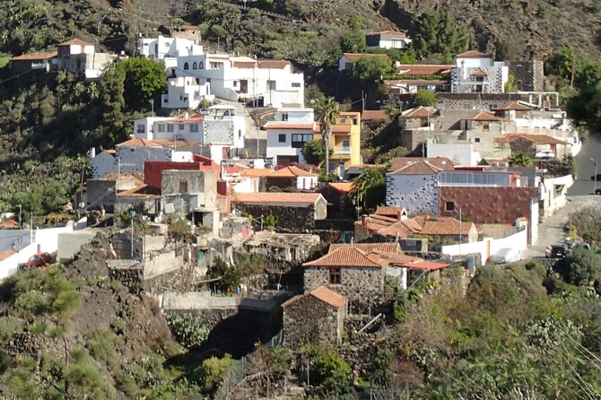 Mojo Cooking Class in an Ancient Canarian Village - Mojo class in Chirche: why this feels like real Tenerife