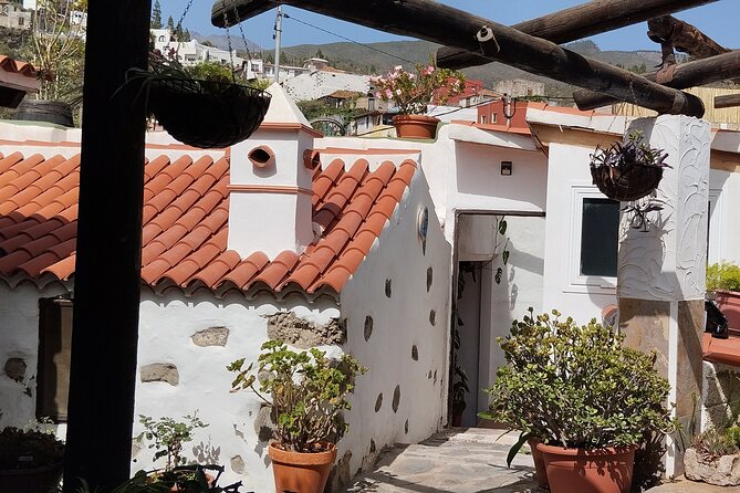 Mojo Cooking Class in an Ancient Canarian Village - What happens during the cooking workshop with Ave and Eric