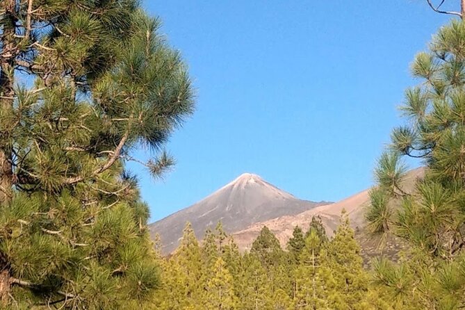 Monster Quad Teide Tour - Teide National Park stop: morning sandwich, BBQ afternoon, or sunset pacing