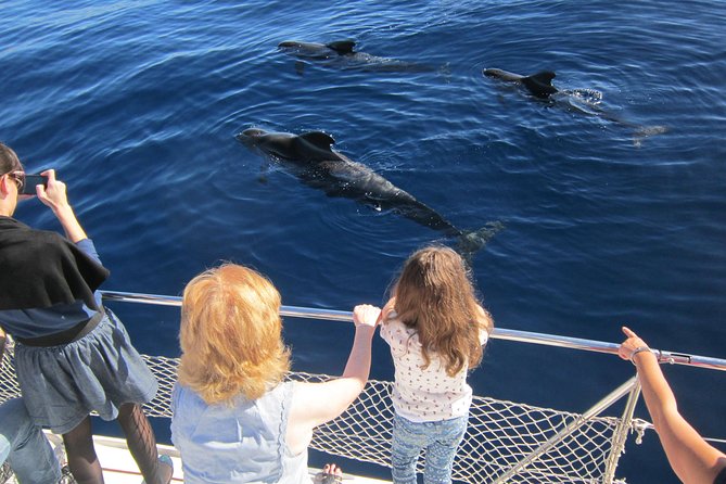 Most Famous Catamaran in Tenerife Island (2 hours and 3 hours tours) - Comfort on the catamaran: seasickness, smoking rules, and simple boat etiquette
