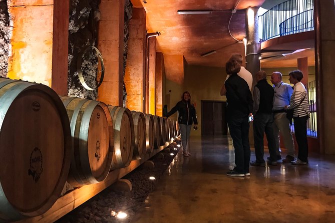 Mount Teide and Tenerife North with Food & Wine Tasting Private Tour - Bodegas Monje: Winery Tour, Terrace Lunch, and the Wine Lineup