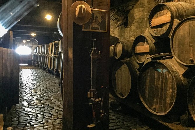Mount Teide and Tenerife North with Food & Wine Tasting Private Tour - Wine and Food Pairing: What You’ll Actually Learn