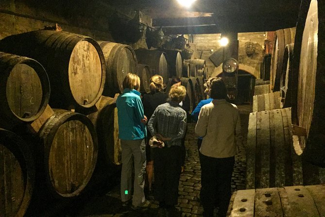 Mount Teide and Tenerife North with Food & Wine Tasting Private Tour - How Much Walking, and What to Wear