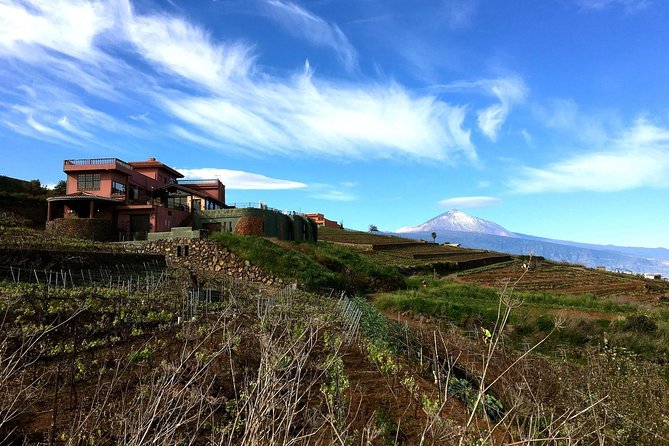 Mount Teide and Tenerife North with Food & Wine Tasting Private Tour - Quick Practical Notes Before You Book