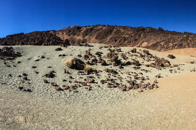 Mount Teide and Tenerife North with Food & Wine Tasting Private Tour - The Drive Down: La Orotava Valley to El Sauzal Vineyards