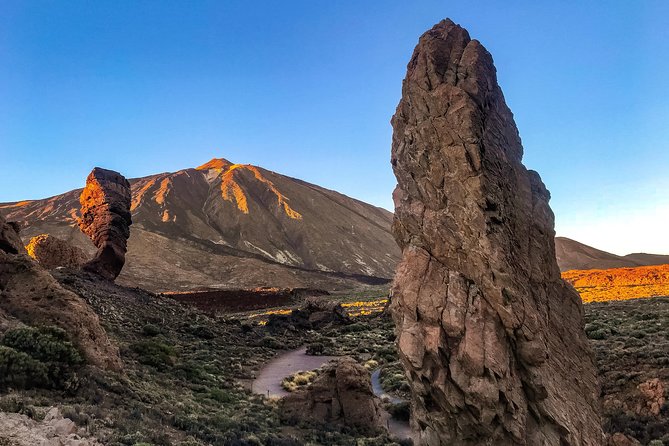 Mount Teide and Teno Country Park Private Tour - Stop 2: Natural Park of Teno, mountain edges and local plants
