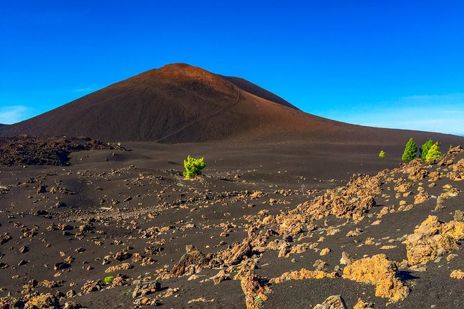Mount Teide and Teno Country Park Private Tour - Stop 3: Parque Natural Corona Forestal, pine air above 1,000 meters