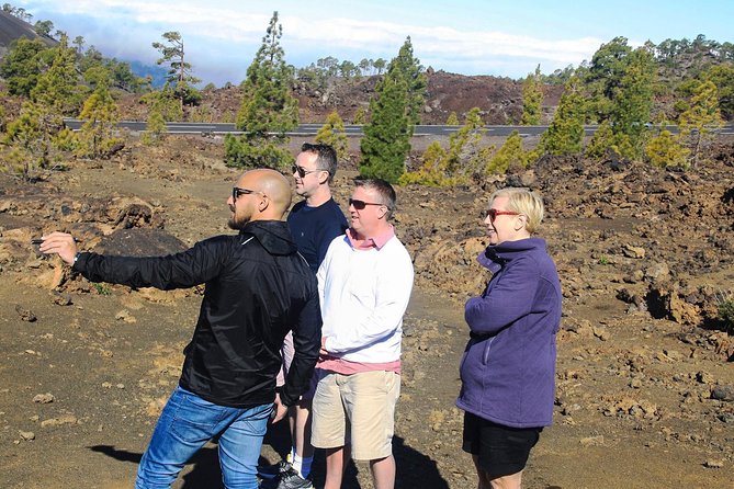 Mount Teide and Teno Country Park Private Tour - Lunch and the food reality on a long nature day