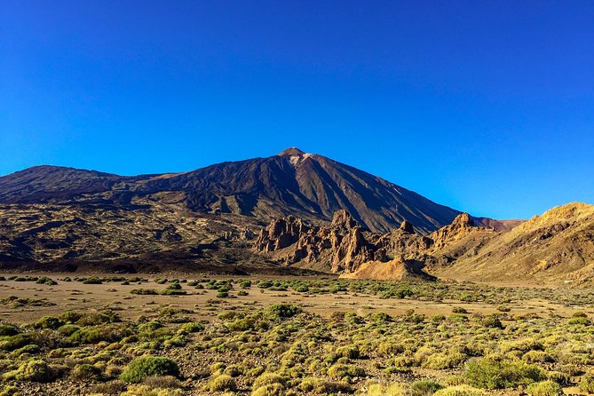 Mount Teide and Teno Country Park Private Tour - Price and what makes it good value at $919.17 per group
