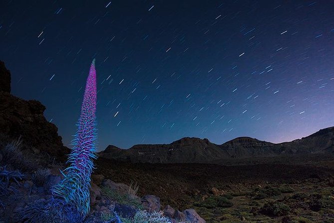Mount Teide Night Tour: Stargazing, Dinner and Hotel Pick up - Price and value around $93.93: what you really get