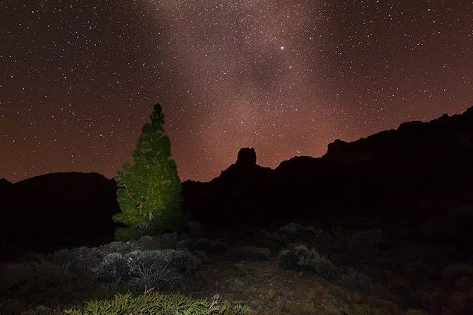 Mount Teide Night Tour: Stargazing, Dinner and Hotel Pick up - What the stargazing stop feels like on the ground