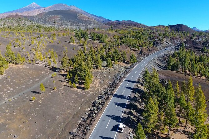 Mount Teide Quad Day Trip in Tenerife National Park - Photo Stops and Why They Matter More Than You Think