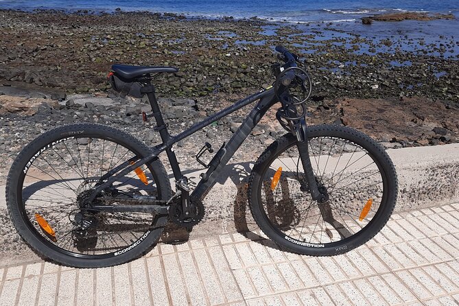 Mountain Bike Rental Tenerife - WhatsApp support that actually moves quickly