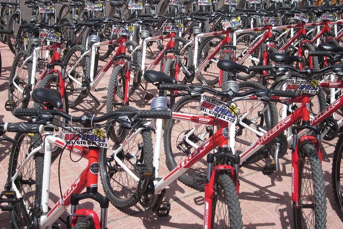 Mountain Bike Rental Tenerife - Price and value: what you’re really paying for at $28.87