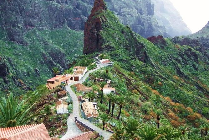 Mt. Teide and Masca Valley Tour in Tenerife - Morning run: the North pick-up option and Vilaflor timing