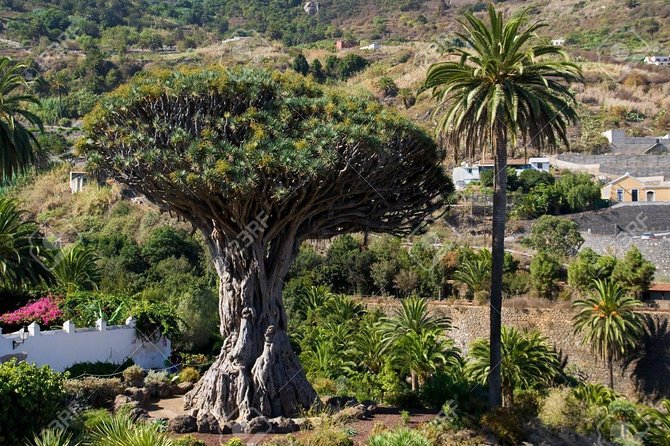 Mt. Teide and Masca Valley Tour in Tenerife - Roques de Garcia: your quick lava-and-views workout
