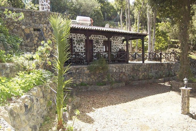 Mt. Teide and Masca Valley Tour in Tenerife - Icod de los Vinos and the Drago Tree, why this stop matters