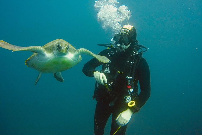 OPEN WATER CERTIFICATION - Become an autonomous diver up to 18m ! - Meet Ludo and Julie, the Safety-First Coaching Team