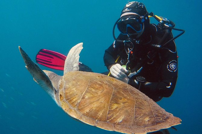 OPEN WATER CERTIFICATION - Become an autonomous diver up to 18m ! - Price in Context: Is $722.78 Worth It?