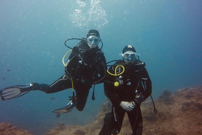 OPEN WATER CERTIFICATION - Become an autonomous diver up to 18m ! - Boat Days Around Las Galletas: Learning in the Sea, Not Just Theory