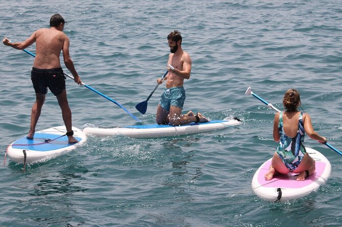 Paddle Surf - Key Highlights You’ll Feel in Real Time