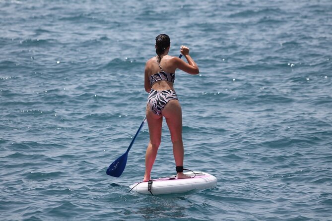 Paddle Surf - Check-In at Av. Rafael Puig Lluvina (and What Makes It Easy)