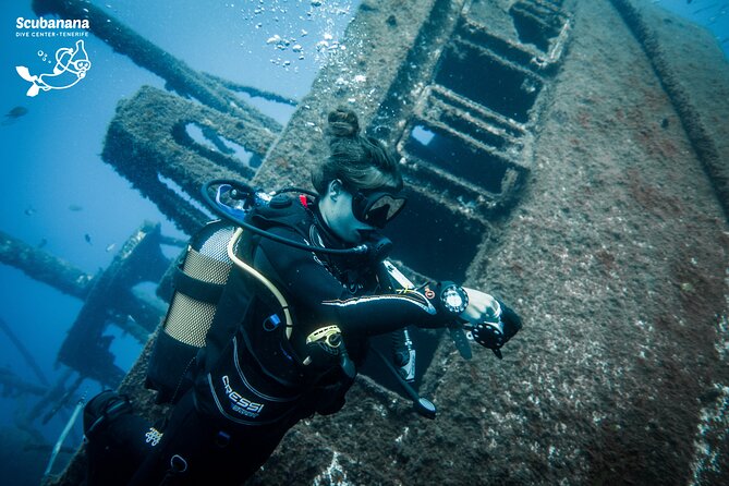PADI Advanced Open Water Diver Course (AOWD) - 2 days - Day 2 Challenge Upgrade: Deep, Shipwreck, and a First Night Underwater Session