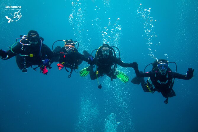 PADI Advanced Open Water Diver Course (AOWD) - 2 days - Price and Value: What $539.48 Includes, and What It Does Not