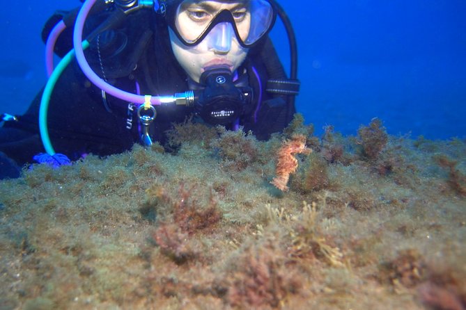 PADI Advanced Open Water Diver Course (AOWD) - 2 days - Day 1 Skills: Buoyancy and Navigation With Real Coaching