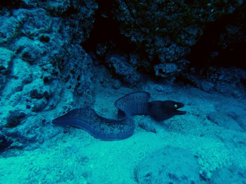 PADI Open Water Course in 3 Days - Equipment, Insurance, and the Real Meaning of Included Price