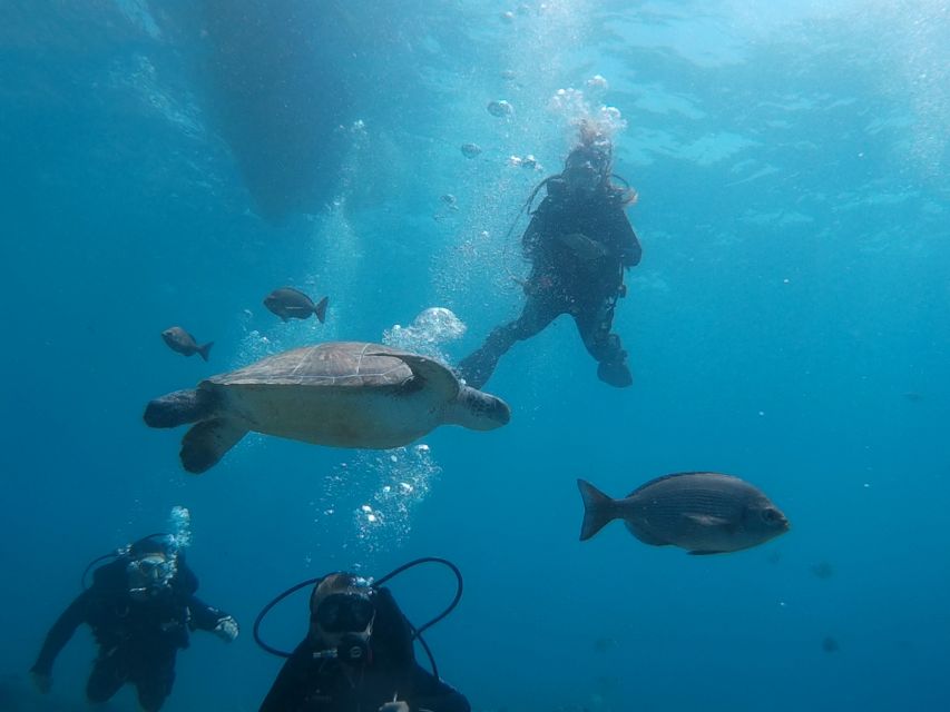PADI Open Water Course in 3 Days - Day 1: Video, Exam, and Confined Water Skills