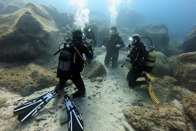 PADI Open Water Course in Costa Adeje - Before you go: online e-learning and the pre-course exam