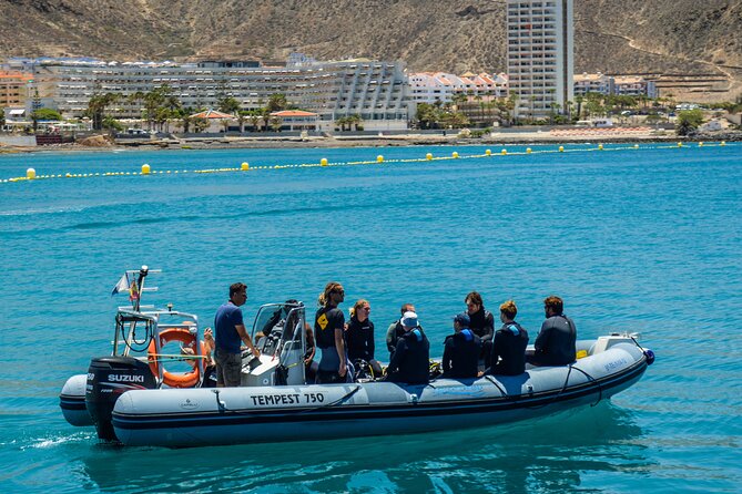 PADI Open Water course in Playa de las Americas - Days 2 and 3: Four Open Water Sessions, Boat and Shore