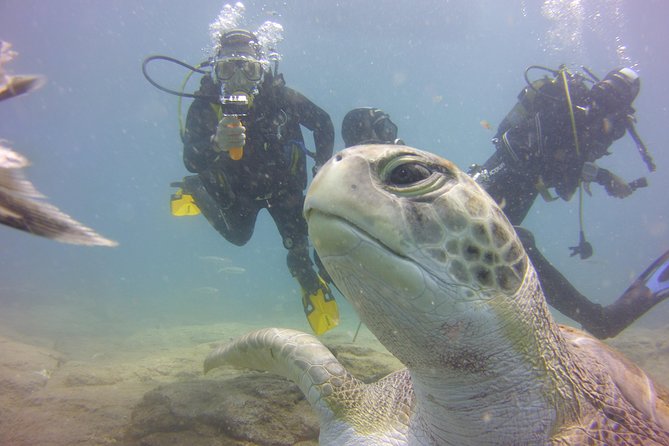 PADI Open Water Diver Course - Coaching Style and Instructor Lineup: Juan, Gerhard, Manuel, and Team