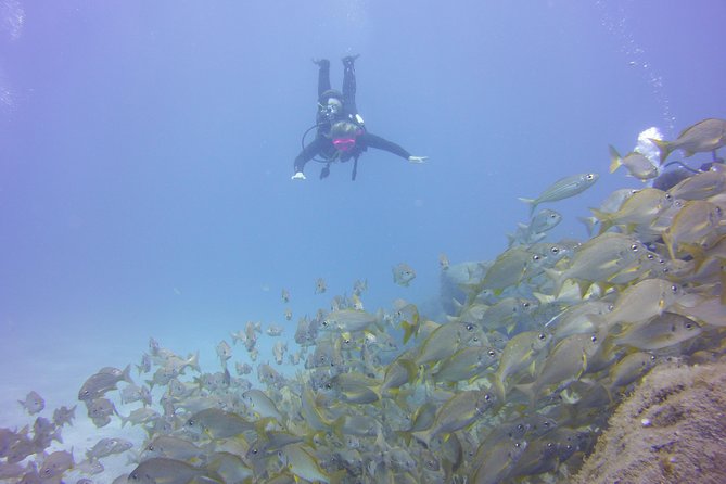 PADI Open Water Diver Course - Gear, Timing, and Packing List that Saves You from Salt and Ear Pain