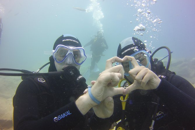PADI Open Water Diver Course - Marine Life on Tenerife: Volcanic Water and Real Animal Encounters