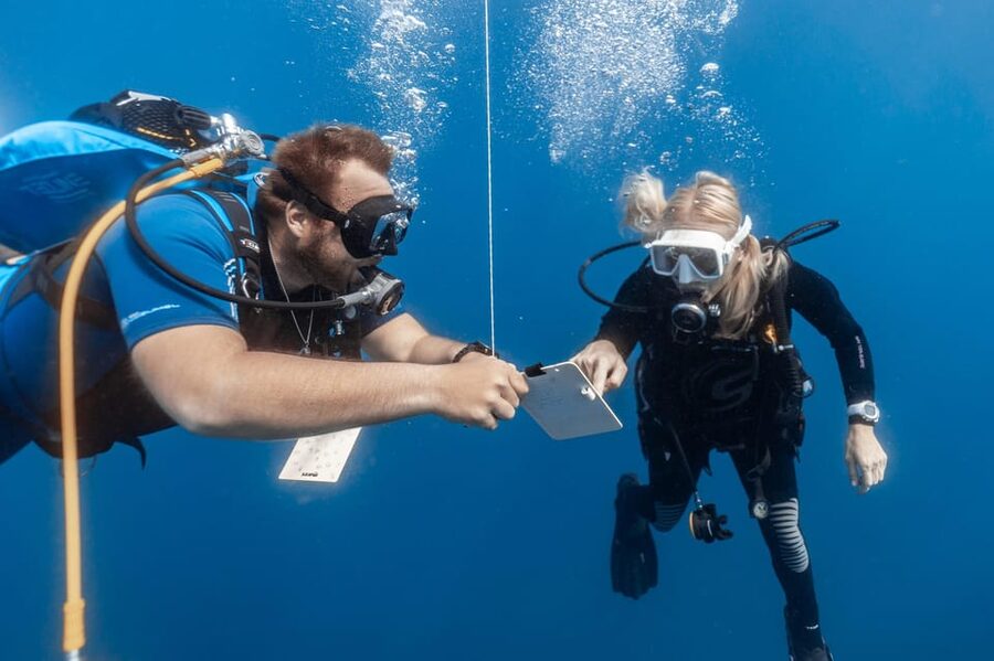 PADI Open Water Diving Course Tenerife - Instructor Quality Is the Real Value (Julia and Davide Stand Out)