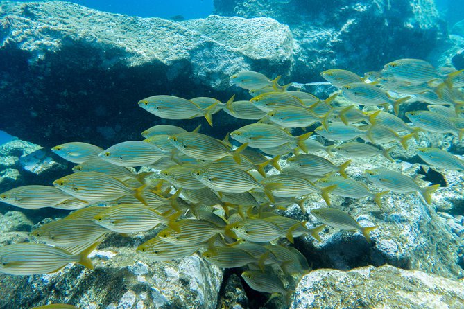 PADI ReActivate, Refresh your scuba skills! - What your 4-hour refresher day looks like