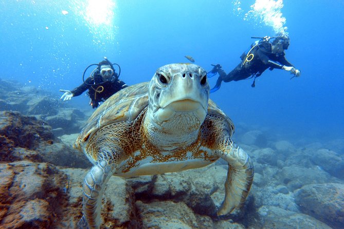 PADI Scuba Dive Course in Costa Adeje - Small Group Size at Travel Sub: Why It Matters More Than You Think