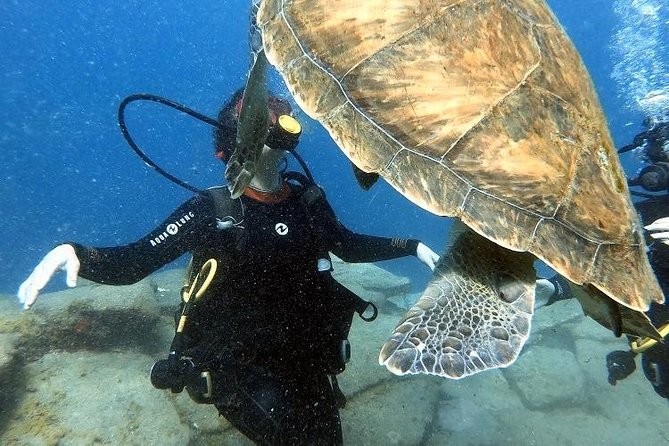 PADI Scuba Dive Course in Costa Adeje - Your Course Timeline: How the 3 Hours Get You Ready