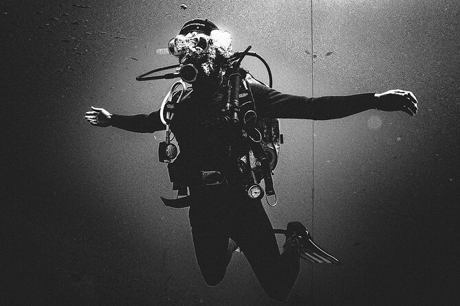 PADI Scuba Diving Courses in Tenerife: All Specialities Until Divemaster - Marine life in Tenerife: why the west coast matters for training