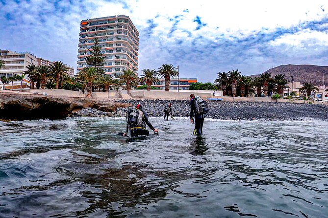 PADI Scuba Diving Courses in Tenerife: All Specialities Until Divemaster - Small groups, expert coaching, and the guide touch