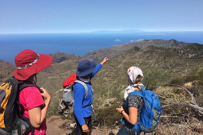 Panoramic route across the Teno rural Park in Tenerife - Key highlights to pay attention to