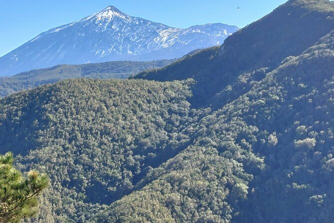 Panoramic route across the Teno rural Park in Tenerife - Stop 2 in Buenavista del Norte: a finish that feels anchored