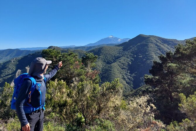 Panoramic route across the Teno rural Park in Tenerife - Optional regional bar stop: local flavors without turning this into a food tour