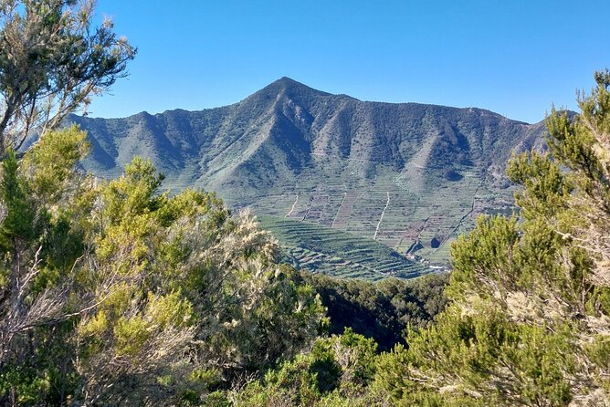Panoramic route across the Teno rural Park in Tenerife - Guide support, group size, and why trekking poles help