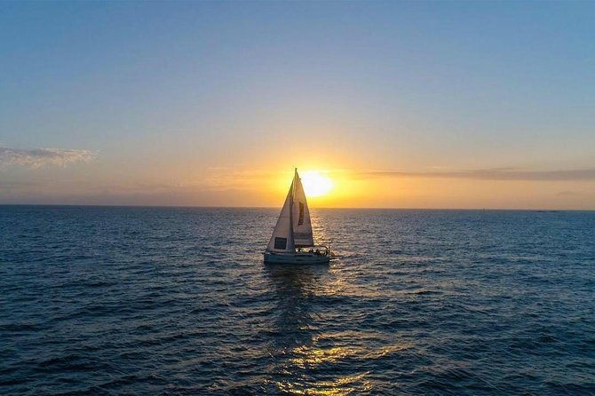 Premium All Inclusive Whale & Dolphin Watching Experience - Entering the Day at Puerto Colón, Playa de la Américas