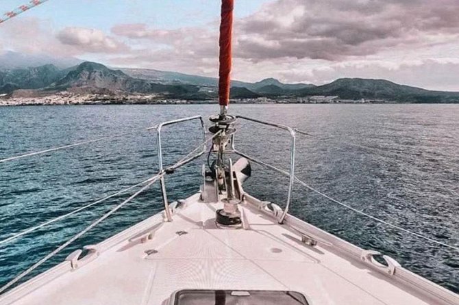 Premium All Inclusive Whale & Dolphin Watching Experience - Drinks and Snacks Included: Value at Around $21